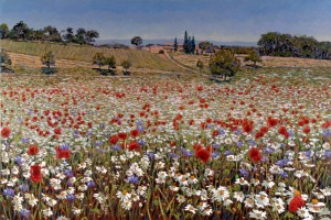 Papoulas paisagem14_ampliacao